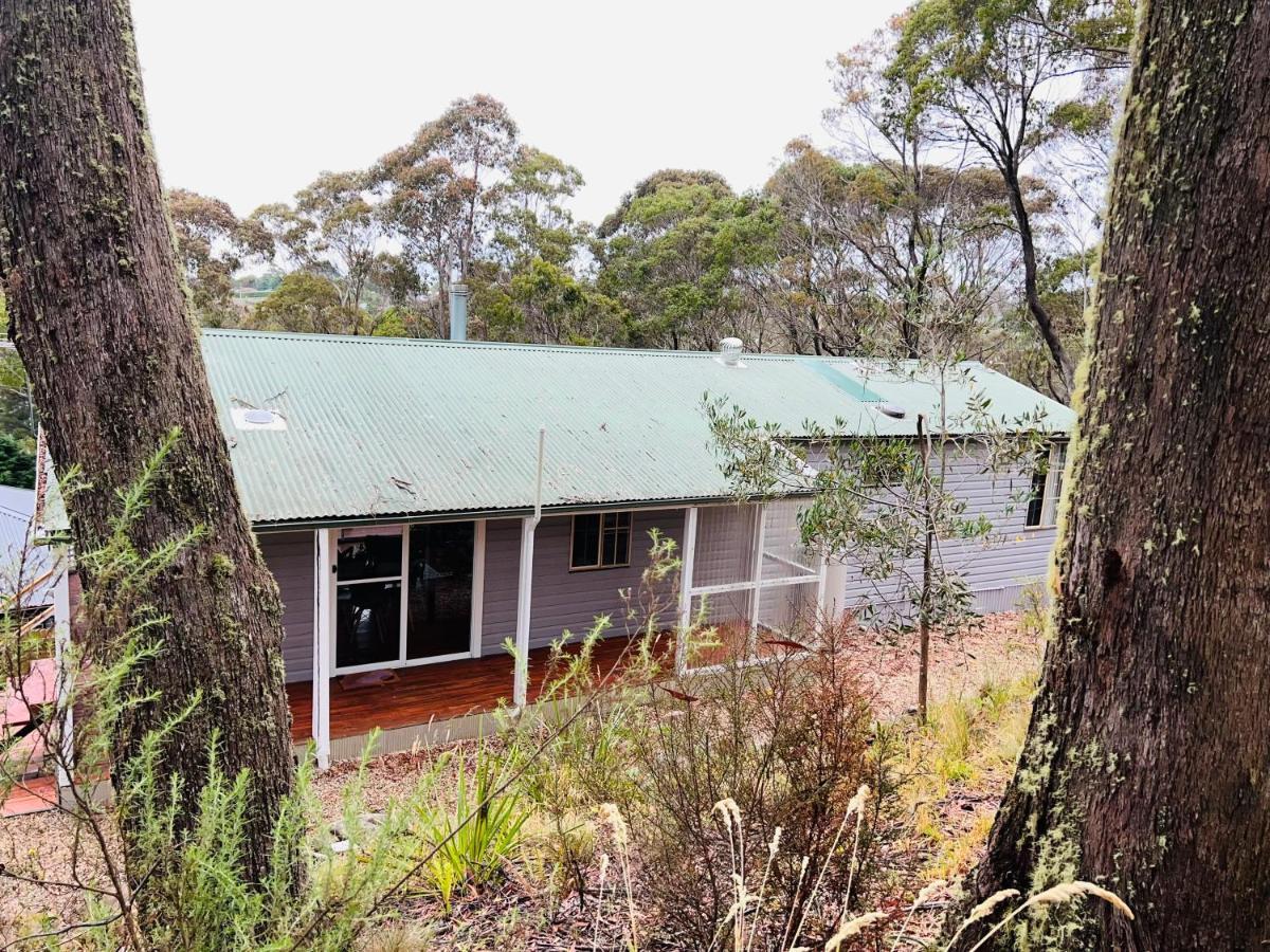 Katoomba Hideaway - Blue Mountains Modern Getaway Villa Exterior photo